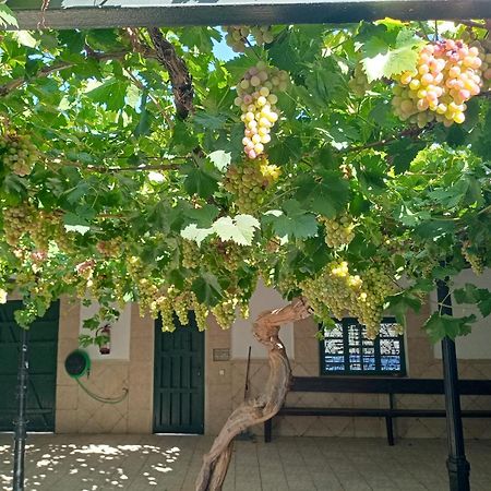 Argamasilla de Alba Casa Rural La Del Alba Seria المظهر الخارجي الصورة