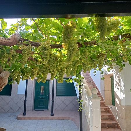 Argamasilla de Alba Casa Rural La Del Alba Seria المظهر الخارجي الصورة