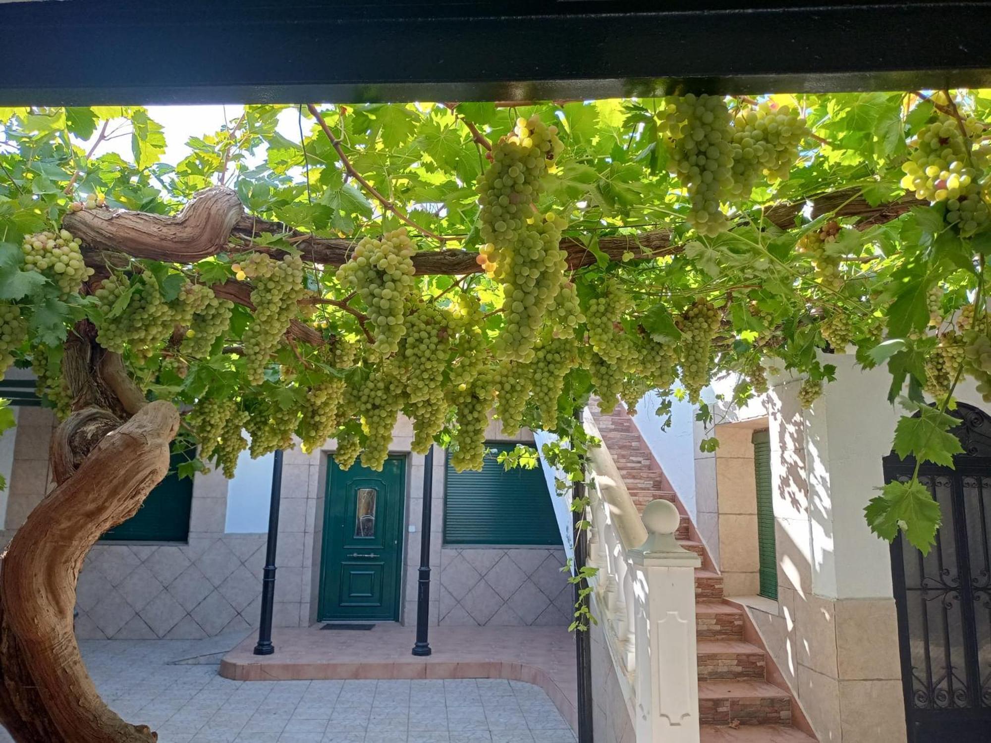 Argamasilla de Alba Casa Rural La Del Alba Seria المظهر الخارجي الصورة